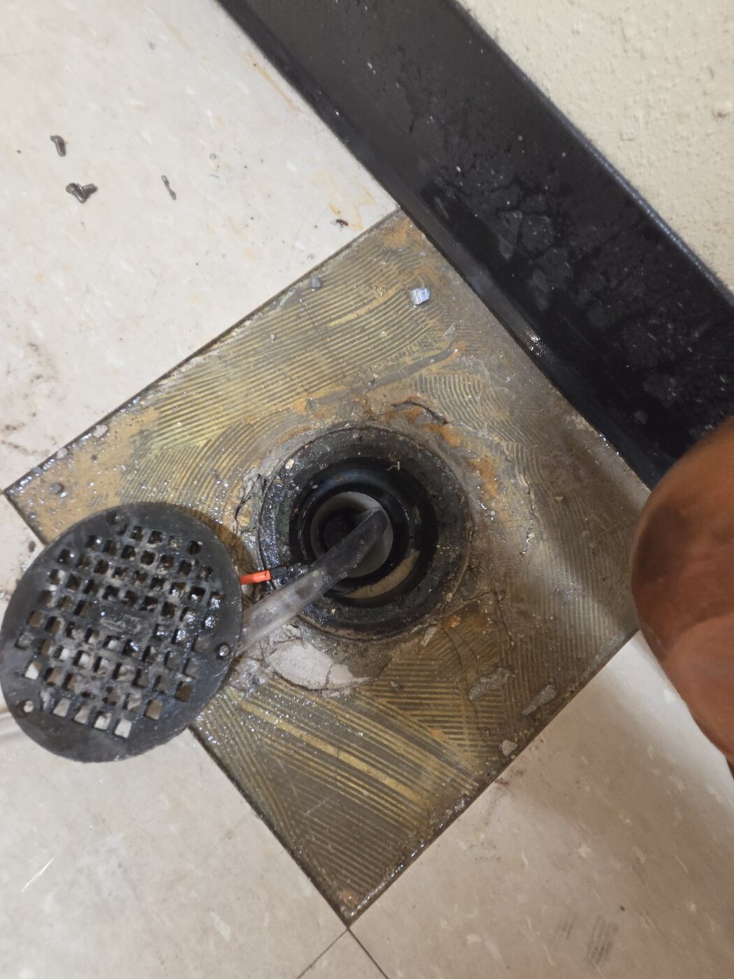 Floor drain service